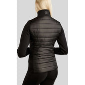 Rebel Jack Hybrid Negro