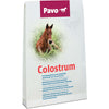 Pavo Calostro