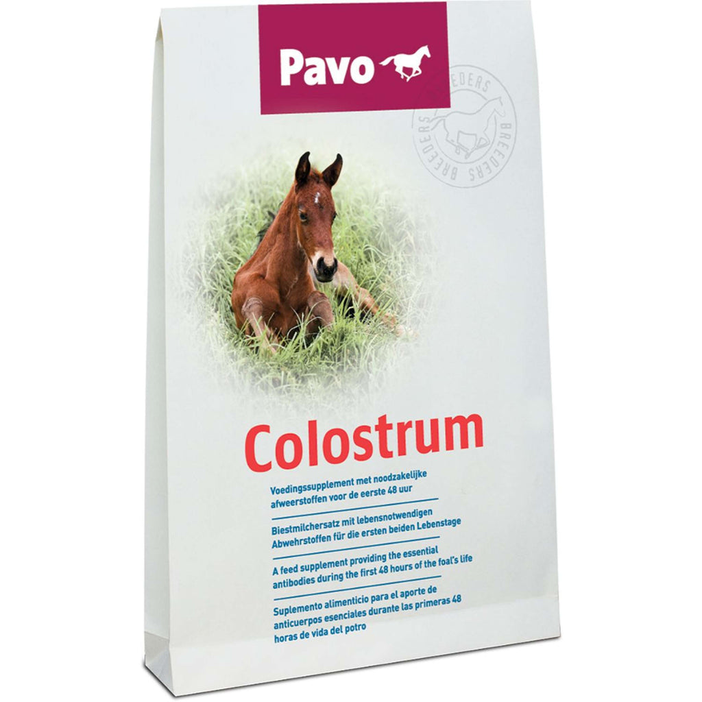 Pavo Calostro