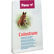 Pavo Calostro