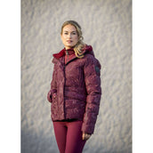 PK Chaqueta Bellisimo Port