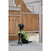 Eskadron Set para Perro Platinum Verde musgo