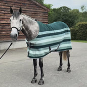 Velder Horsewear Premium Stripe Cooler Rug Striped Night Forest