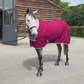 Velder Horsewear Premium Waffle Cooler Rug Rojo Morera