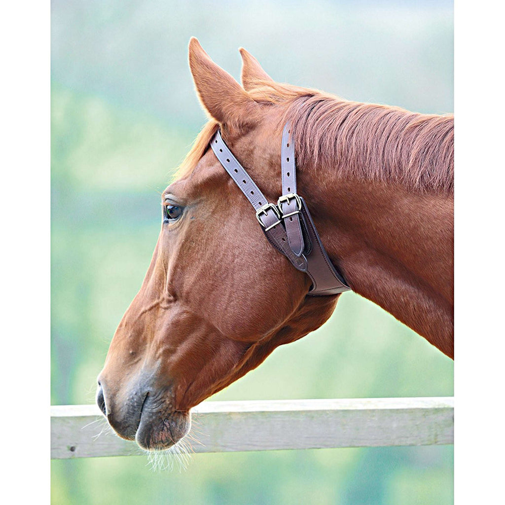 Shires Halsband Anti Mordeduras Australian Nut