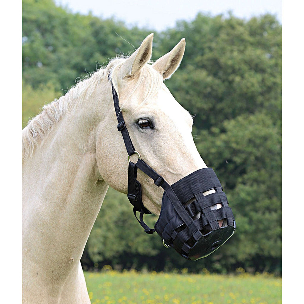 Shires Bozal de Pastoreo Comfort Negro
