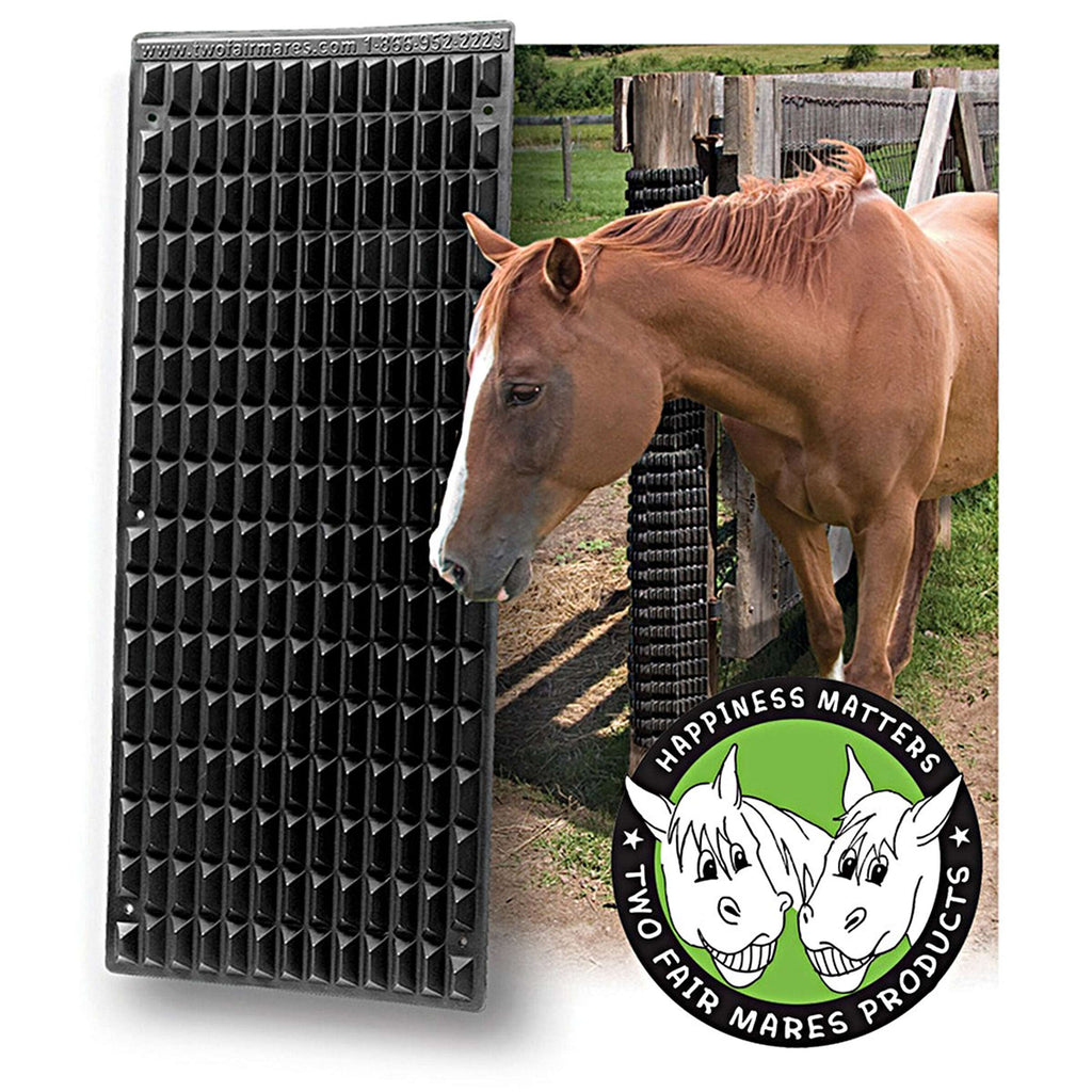 Shires Rascador Equine Negro