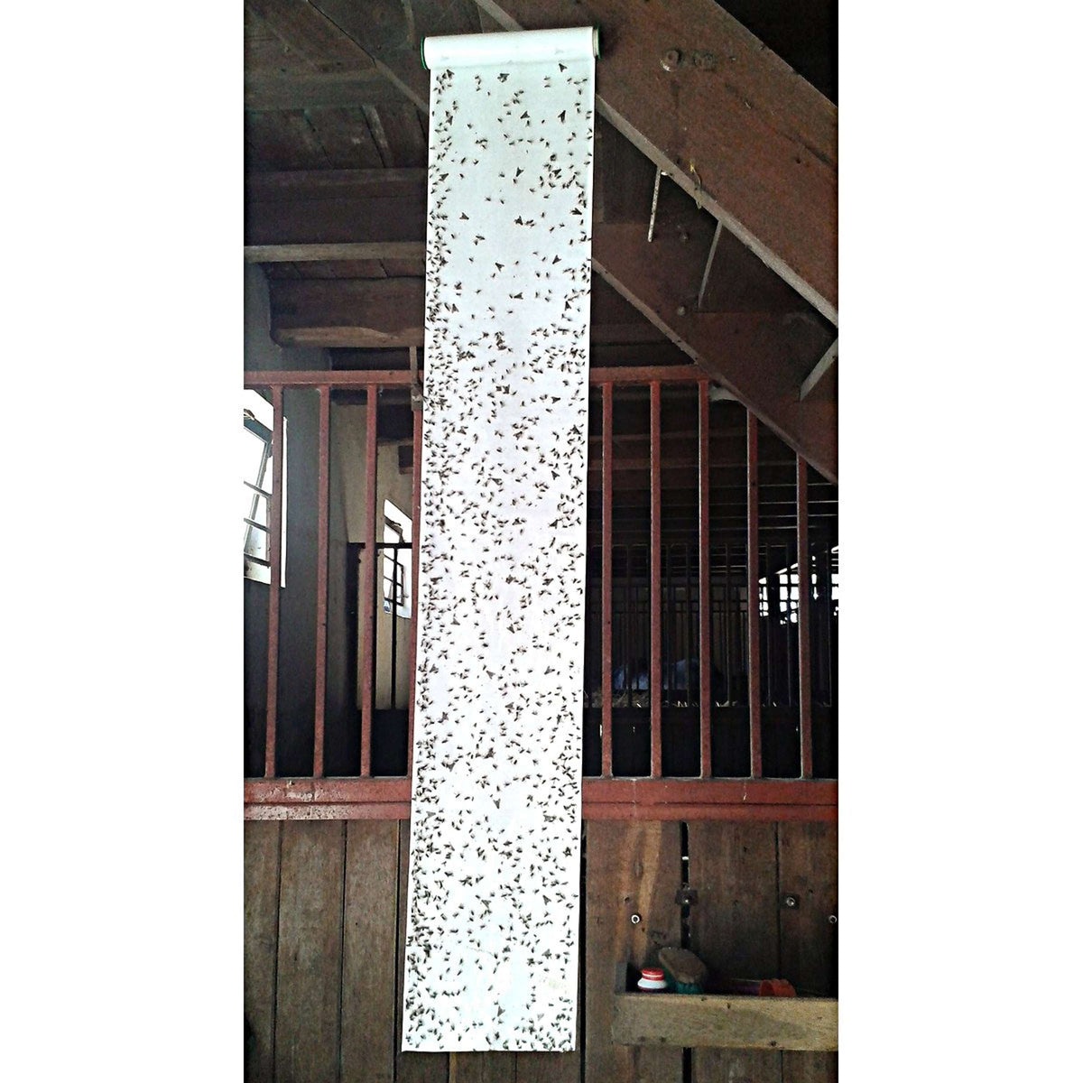 Insective Rollo Atrapa Moscas