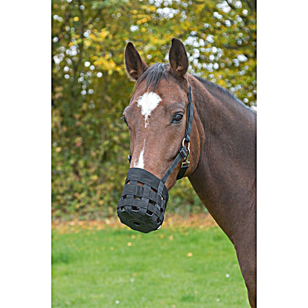 Kerbl Bozal Spanish: Pasto Negro