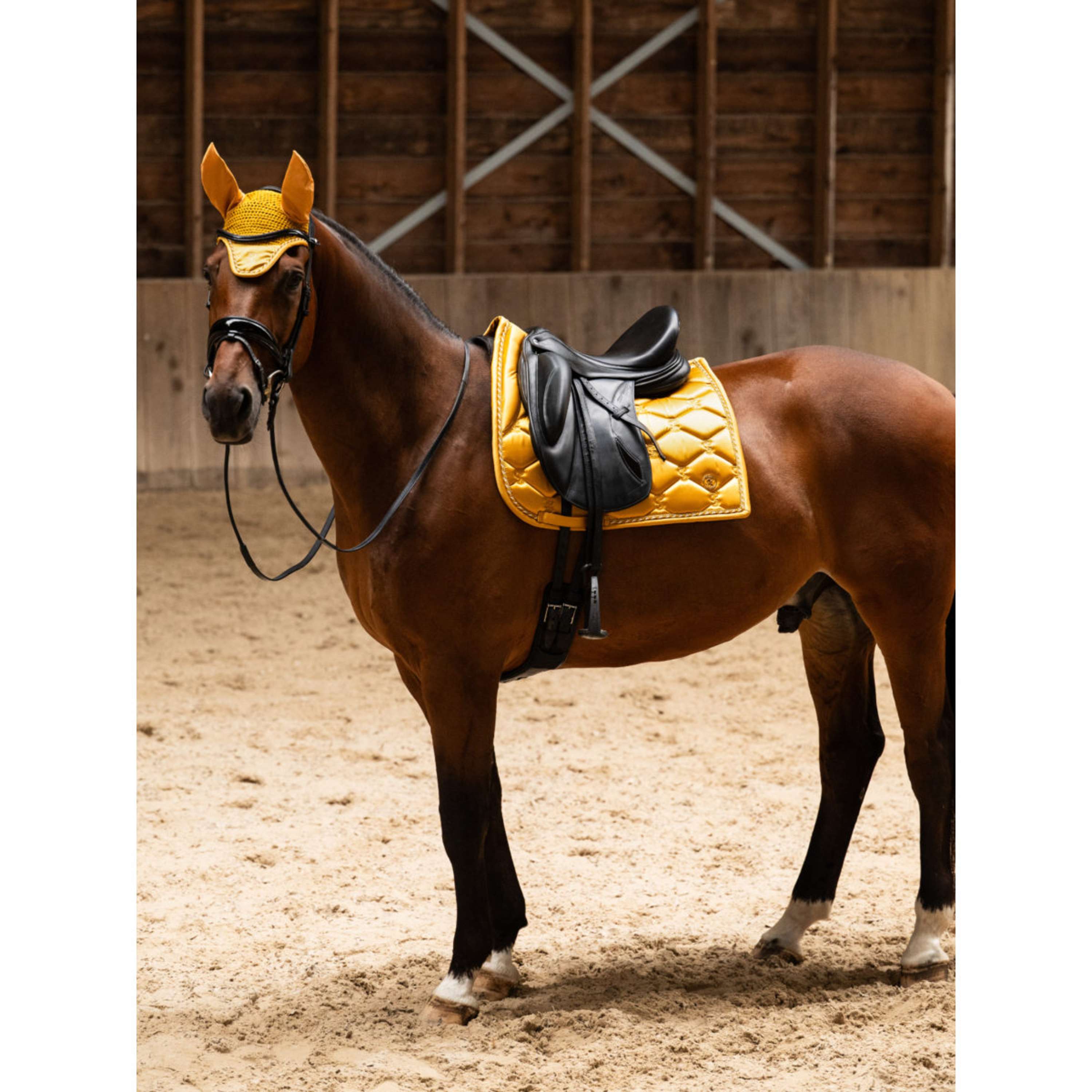 PS of Sweden Bonete para Orejas Signature Old Gold