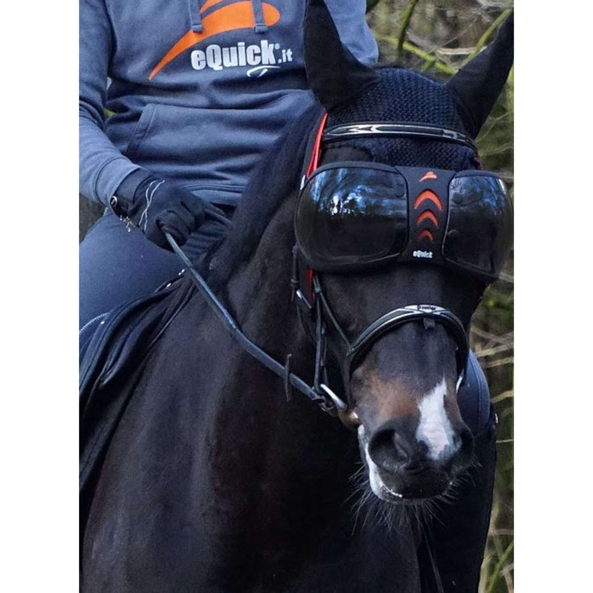 eQuick Gafas eVysor Oscuro Marron