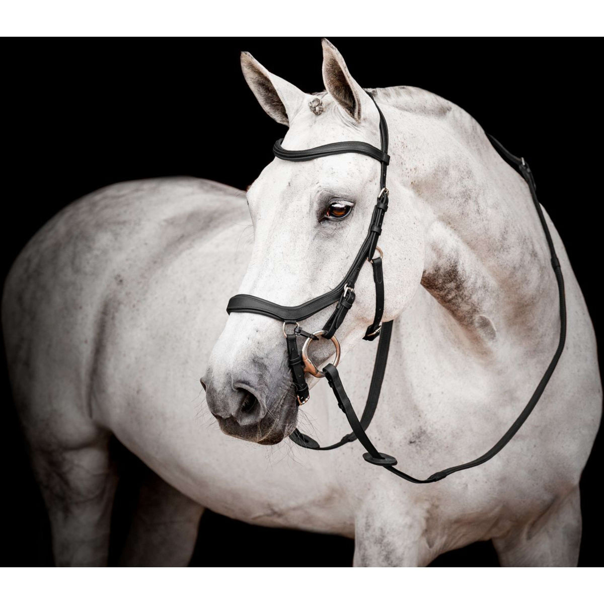 Rambo Micklem Competition Bridle New Negro