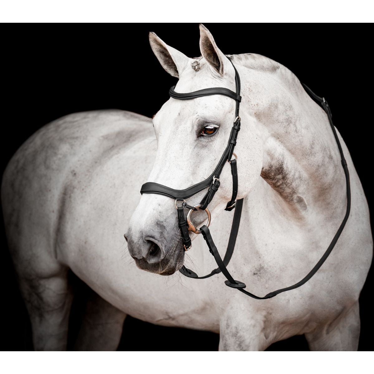 Rambo Micklem Competition Bridle New Negro
