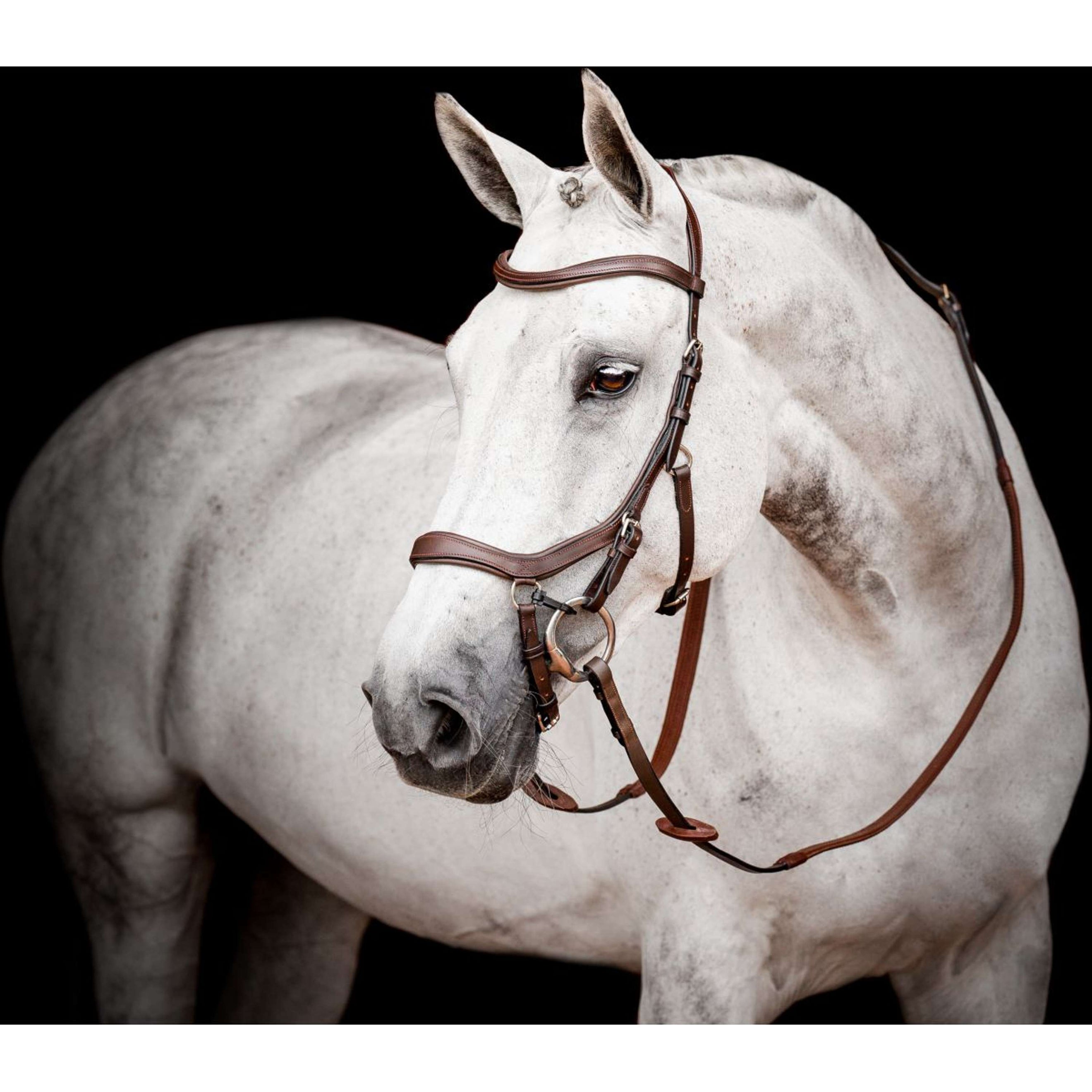 Horseware Micklem Multi Bridle New Dark Havana Horseware Micklem Multi Bridle New Dark Havana