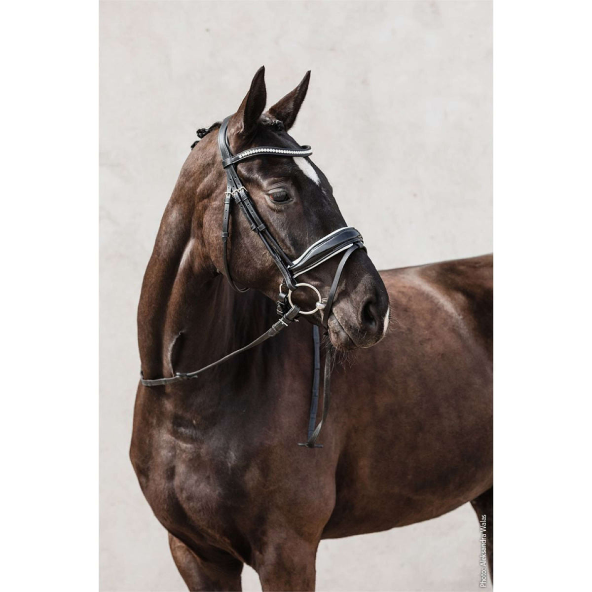 Schockemöhle Brida Malibu Negro/Patente/Blanco/Plata