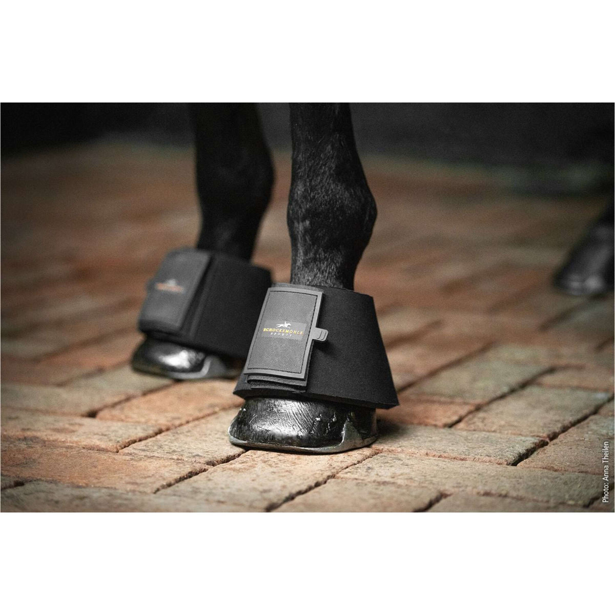 Schockemöhle Botas de Campana Soft Negro