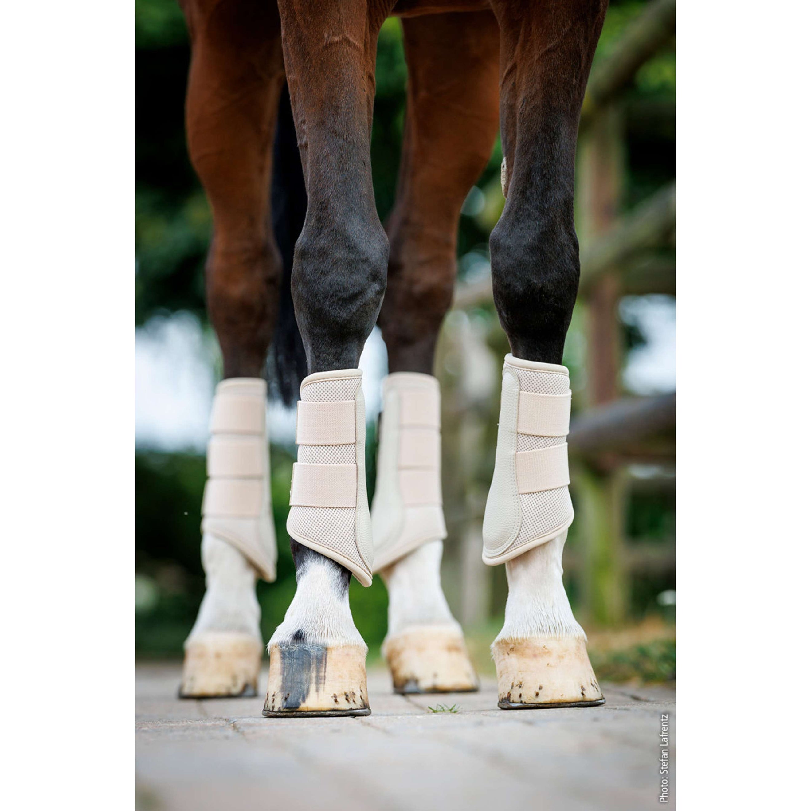 Schockemöhle Dressage Boots SP Mesh Guards Style Piedra Schockemöhle Dressage Boots SP Mesh Guards Style Piedra