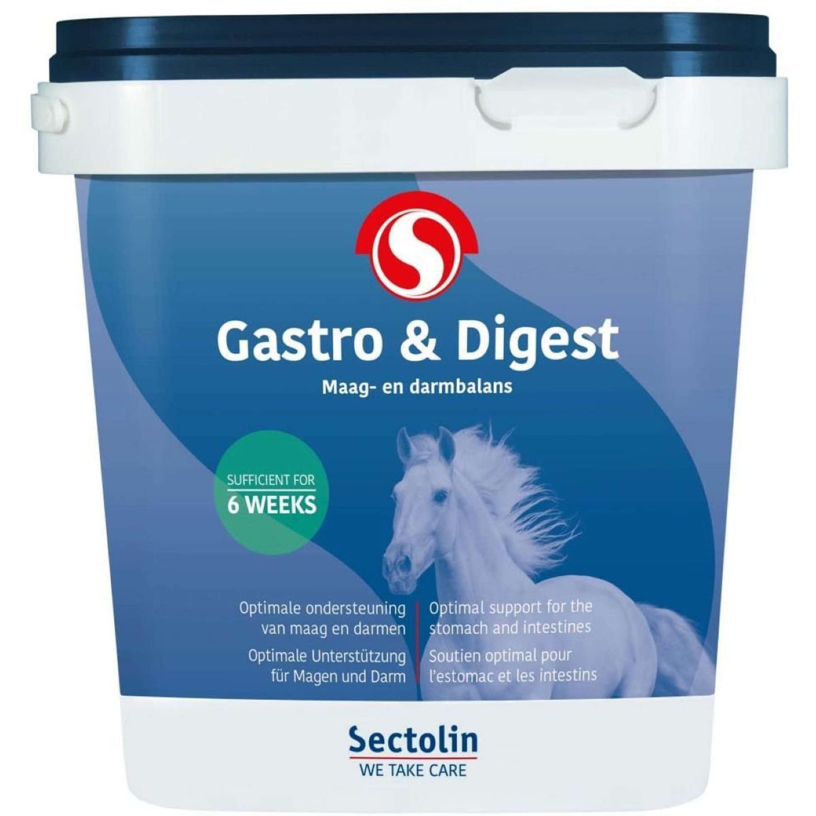 Sectolin Magnesium Equivital