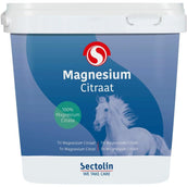 Sectolin Magnesium Equivital