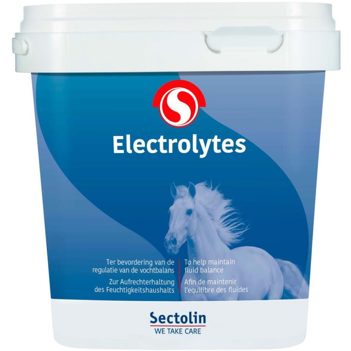Sectolin Electrolitos