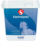 Sectolin Electrolitos