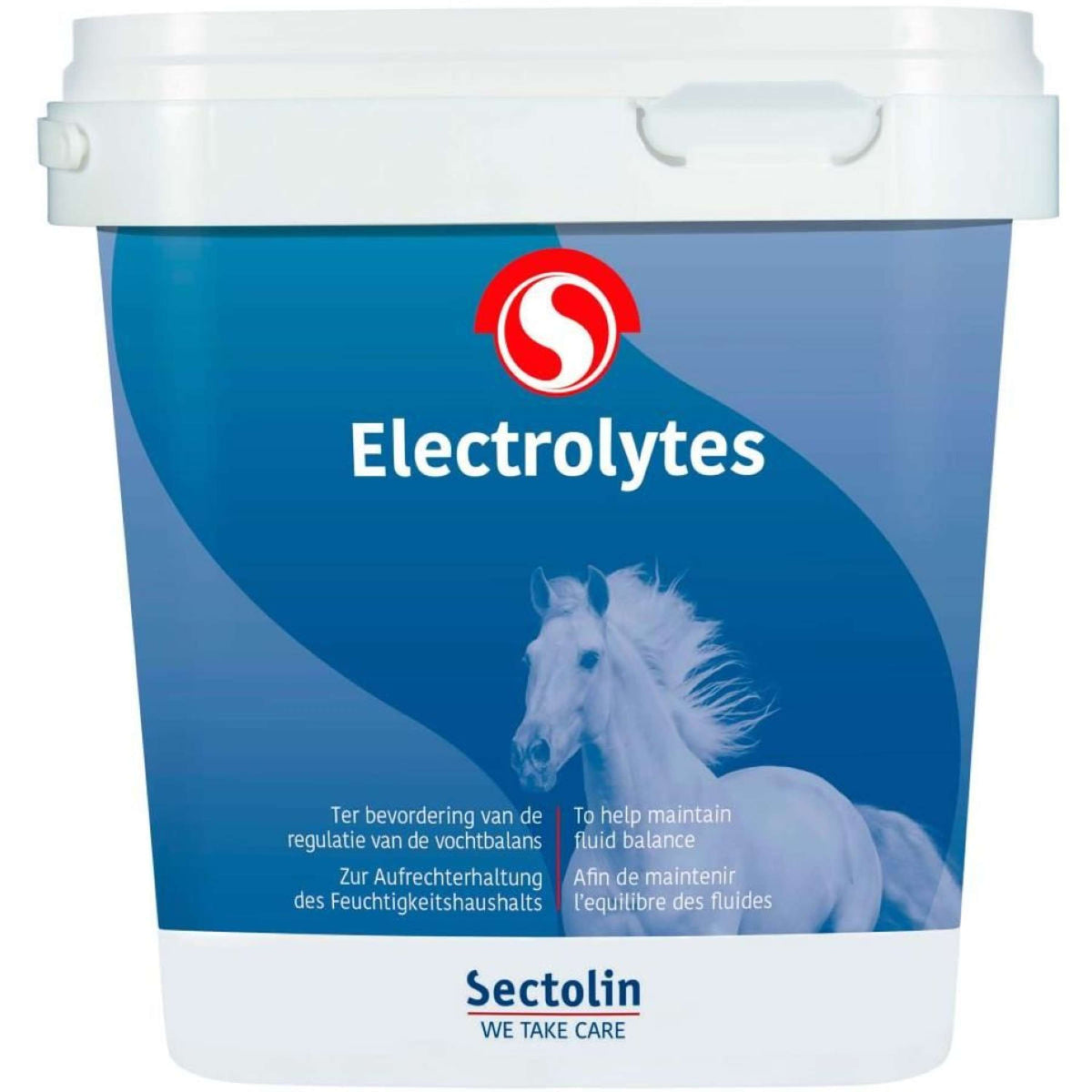 Sectolin Electrolitos