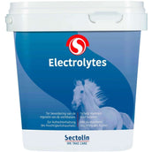Sectolin Electrolitos