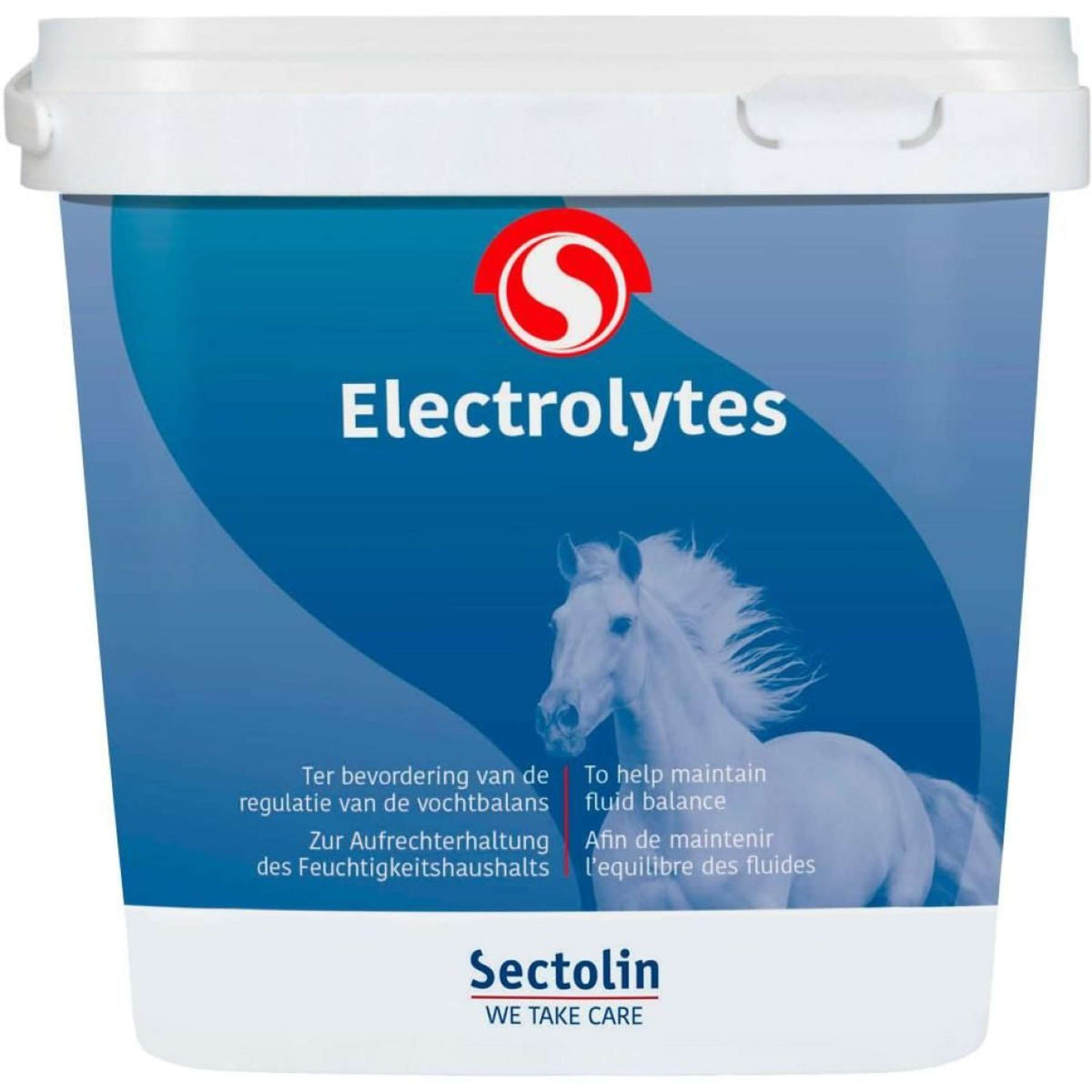 Sectolin Electrolitos