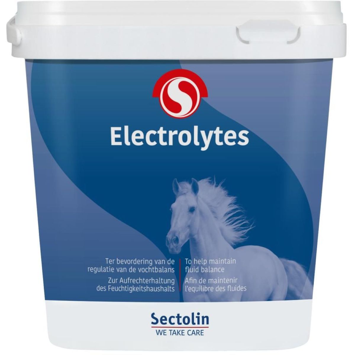 Sectolin Electrolitos
