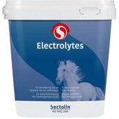 Sectolin Electrolitos