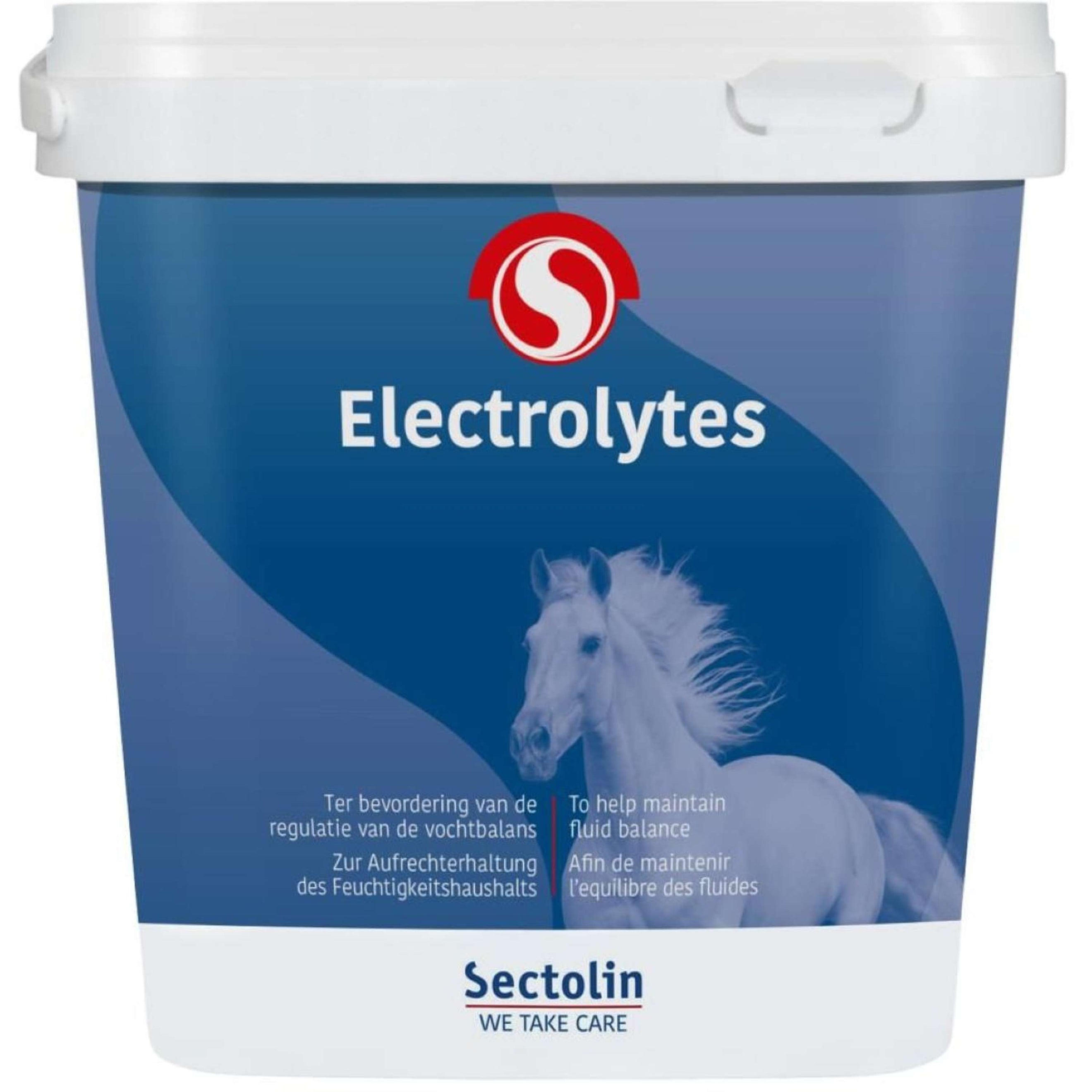 Sectolin Electrolitos Sectolin Electrolitos