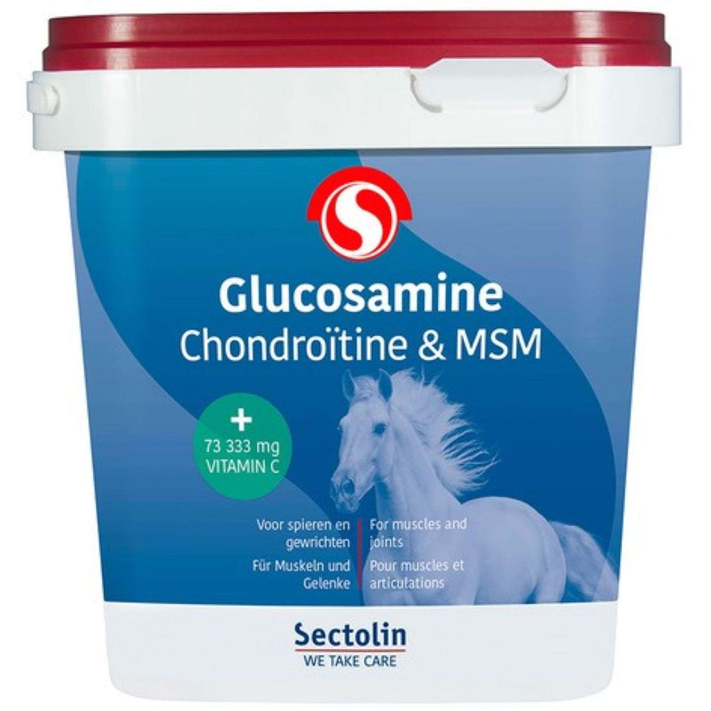Sectolin Glucosamina Equivital Condroitina y MSM