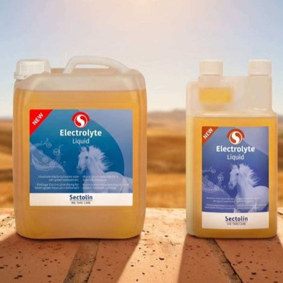 Sectolin Electrolyte Liquid