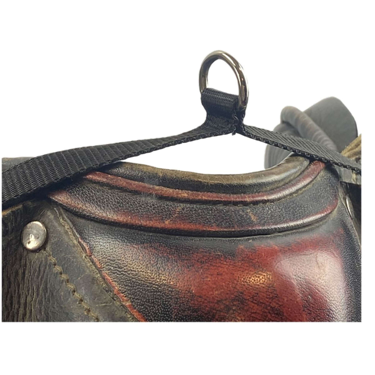 Segura Equitation Cuerda de fijación para sillín Negro