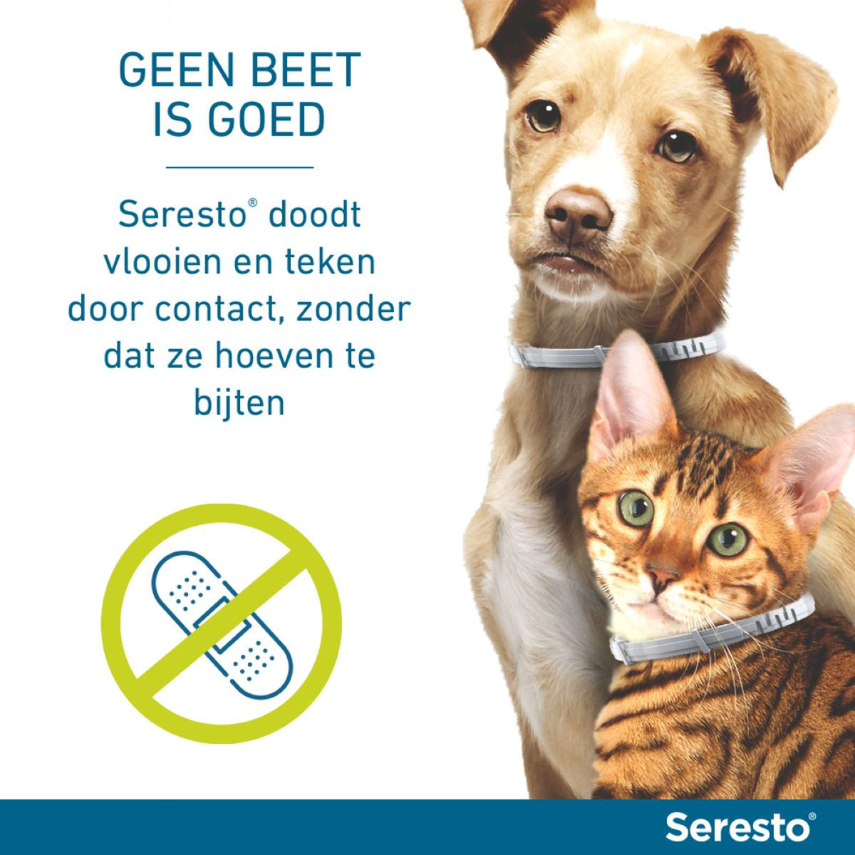 Seresto Collar Antipulgas y Garrapatas Perro Grande a partir de 8kg