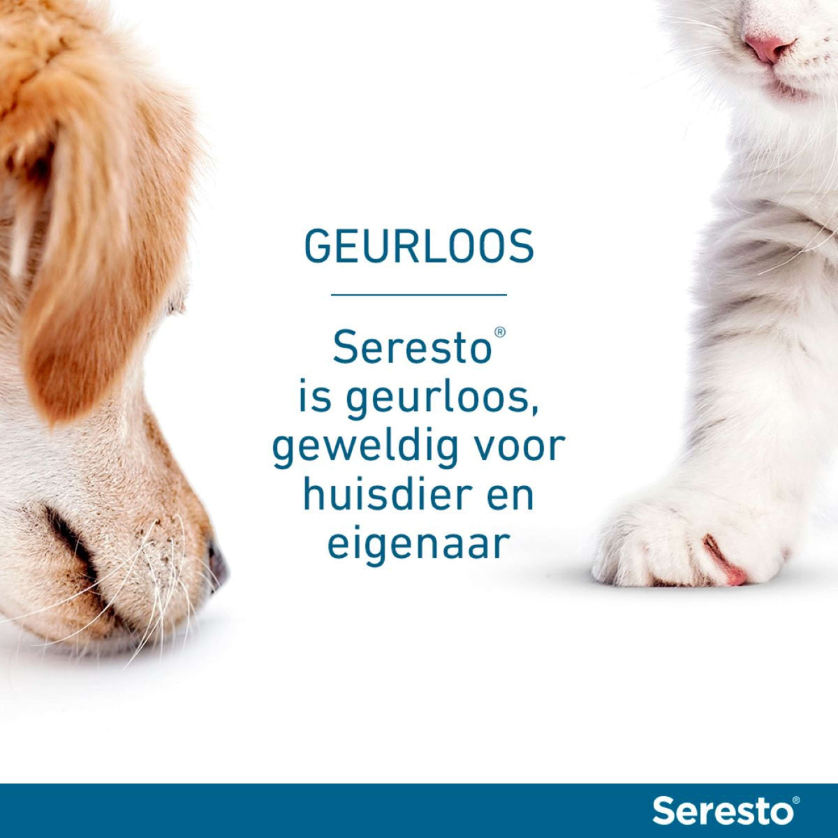 Seresto Collar Antipulgas y Garrapatas Perro Grande a partir de 8kg