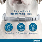 Seresto Collar Antipulgas y Garrapatas Perro pequeño hasta 8kg