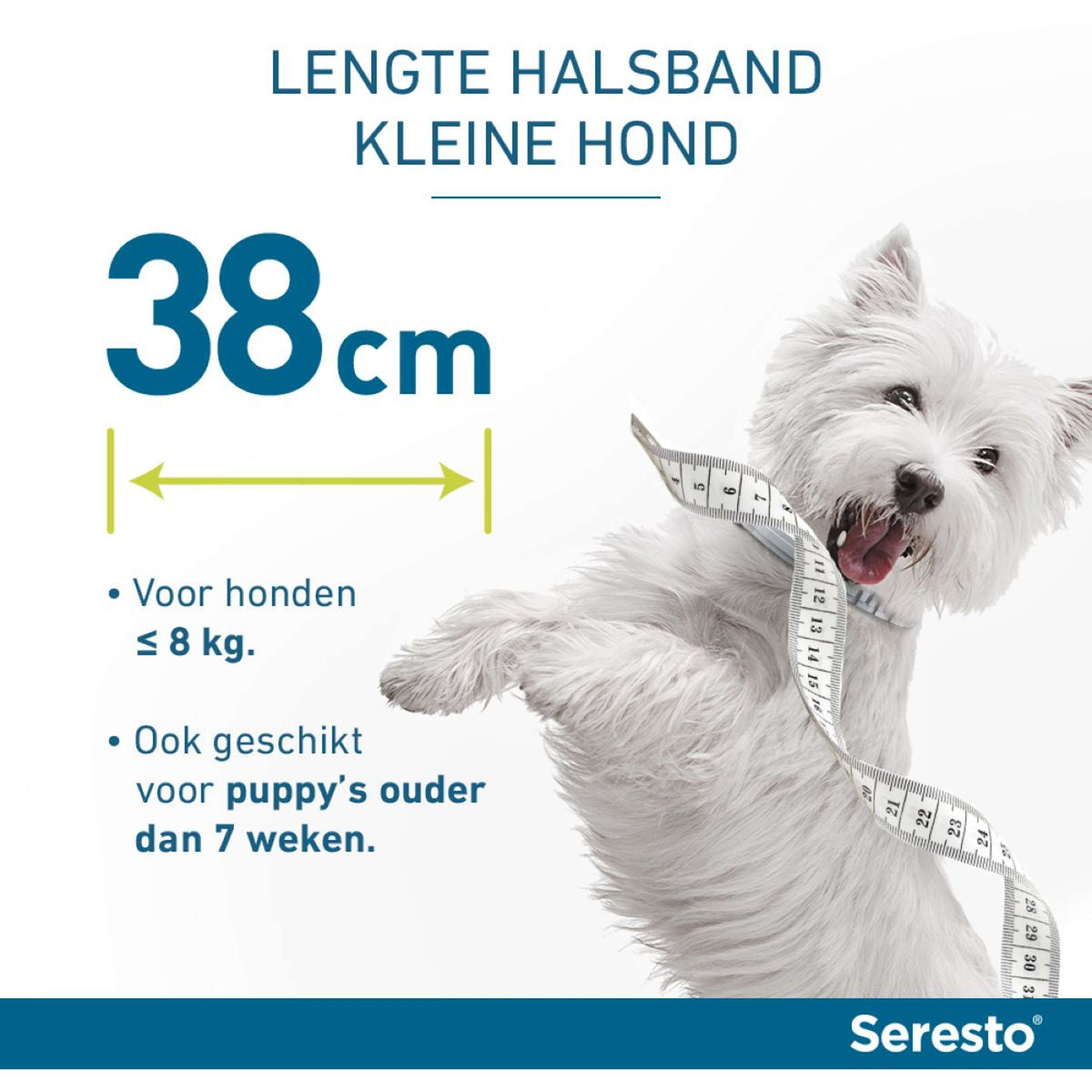 Seresto Collar Antipulgas y Garrapatas Perro pequeño hasta 8kg