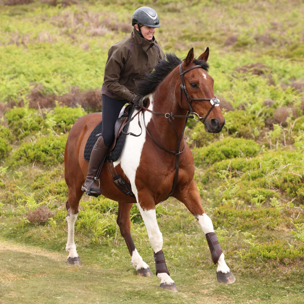 Aubrion by Shires Pullover Heritage Oliva oscura