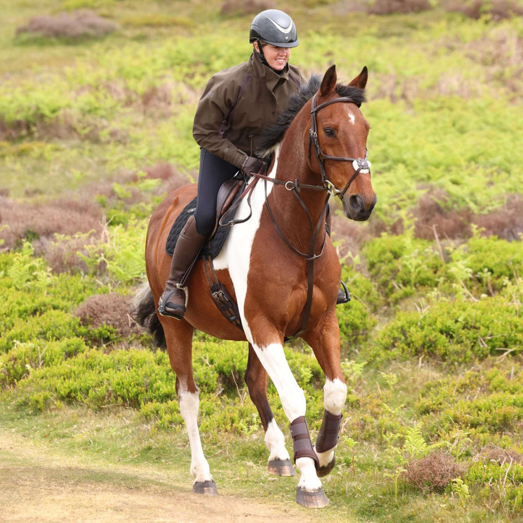 Aubrion by Shires Pullover Heritage Oliva oscura