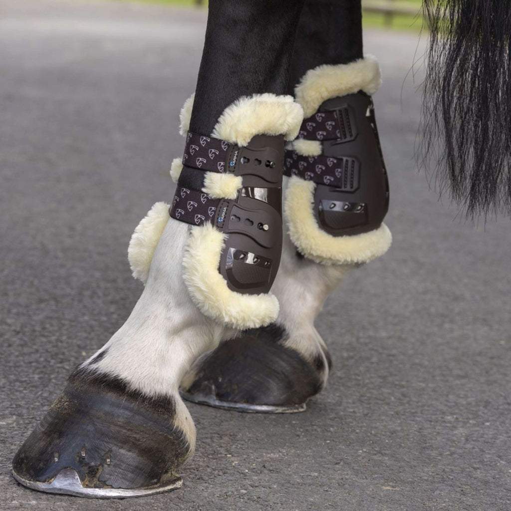 Arma by Shires Botas protectoras de menudillo Carbon Pro SupaFleece Marron