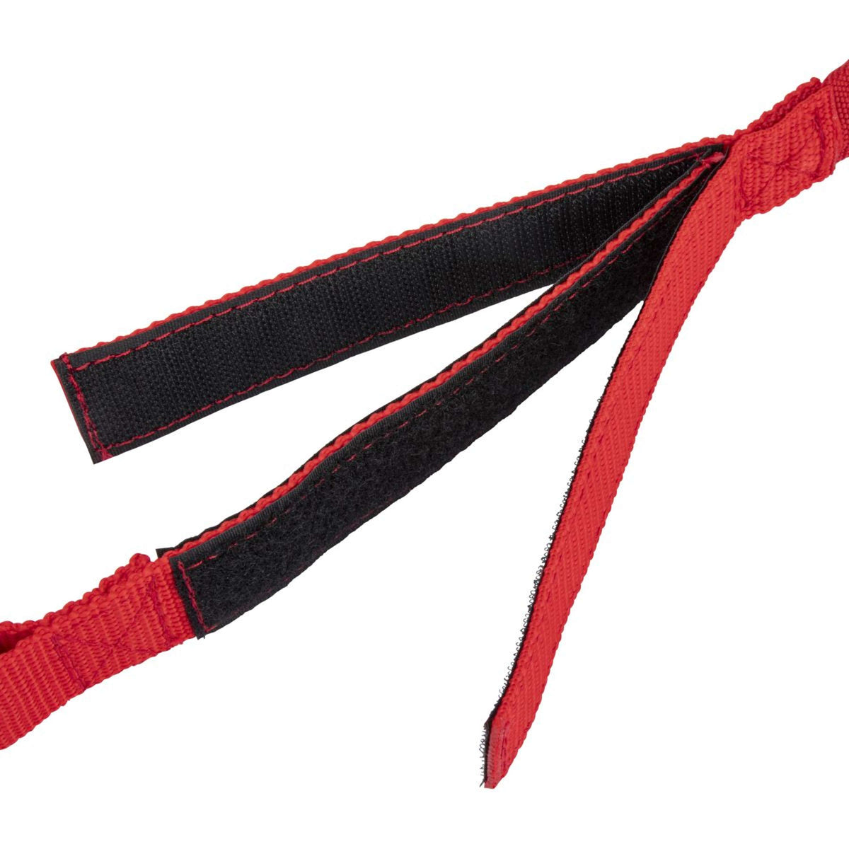 Shires Cuerda de amarre Bungee Breakaway Rojo