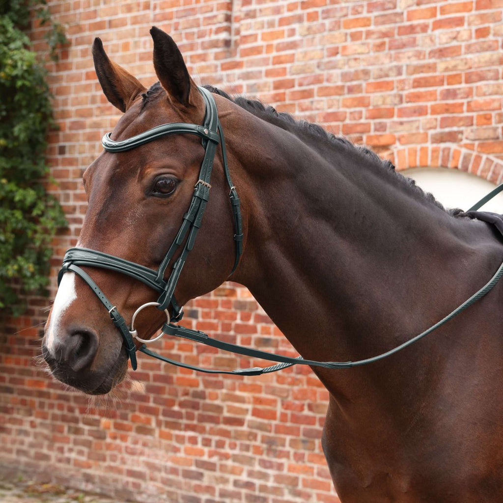 Velociti by Shires Riendas Lusso Elite Pro SureGrip Negro