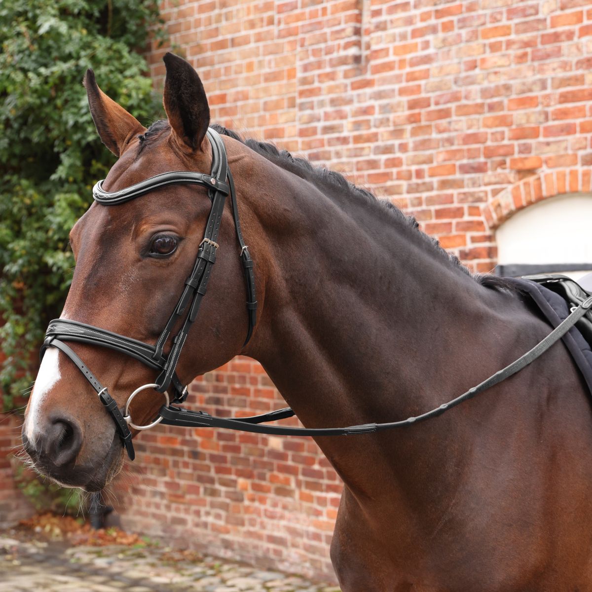 Velociti by Shires Riendas Lusso Elite Pro SureGrip Negro