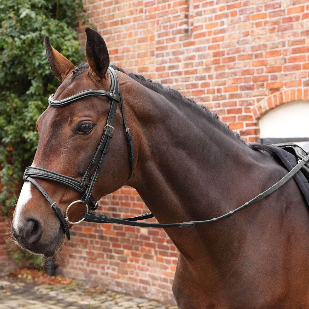 Velociti by Shires Riendas Lusso Elite Pro SureGrip Negro