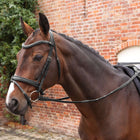 Velociti by Shires Riendas Lusso Elite Pro SureGrip Negro