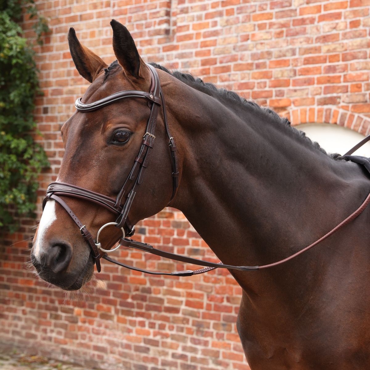 Velociti by Shires Riendas Lusso Elite Pro SureGrip Habana