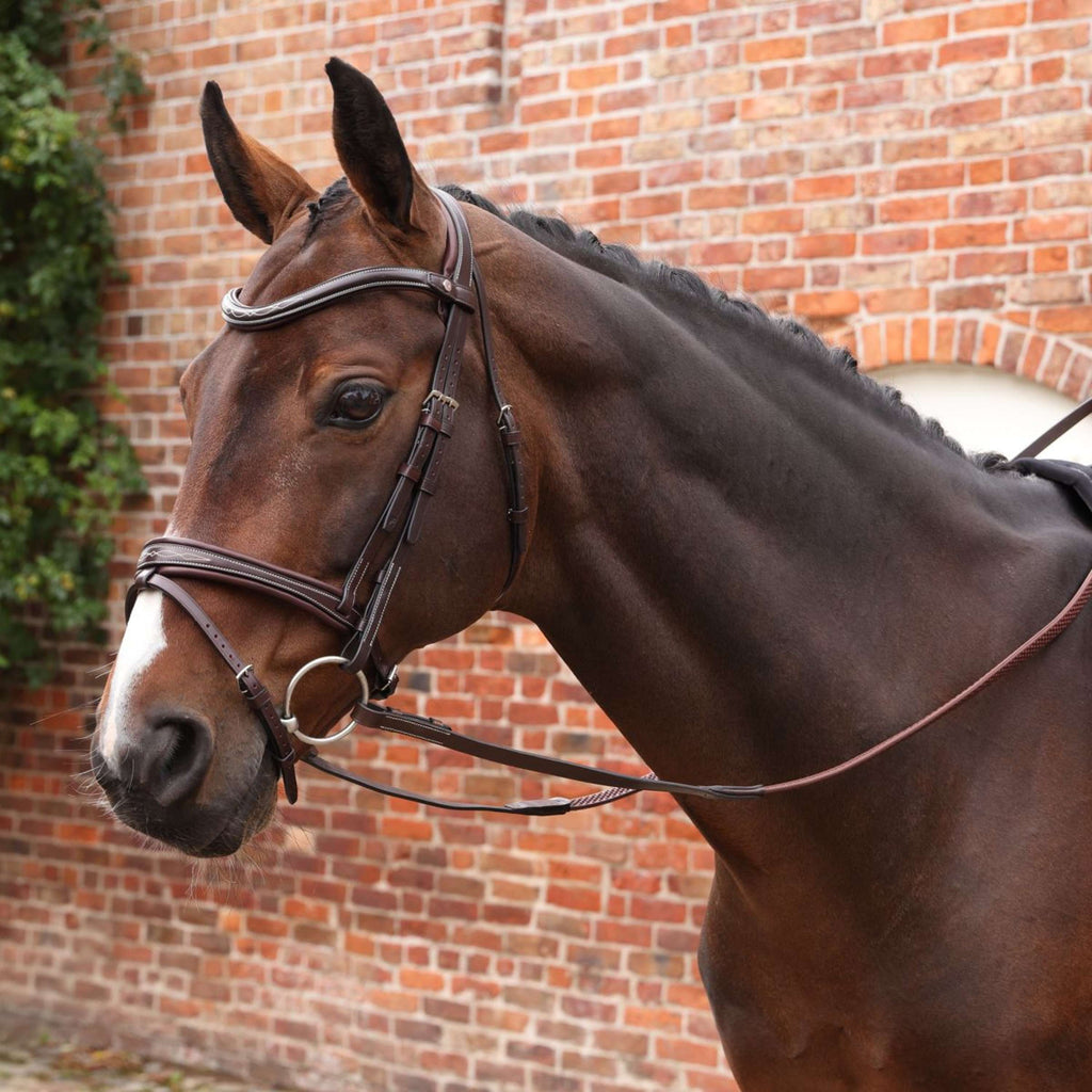 Velociti by Shires Riendas Lusso Elite Pro SureGrip Habana