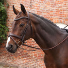 Velociti by Shires Riendas Lusso Elite Pro SureGrip Habana
