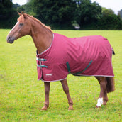 Tempest Original by Shires Turnout Rug 200g Granate